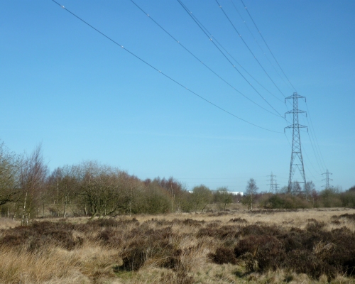 Electricity pylons in Chasewater Country Park, Staffordshire